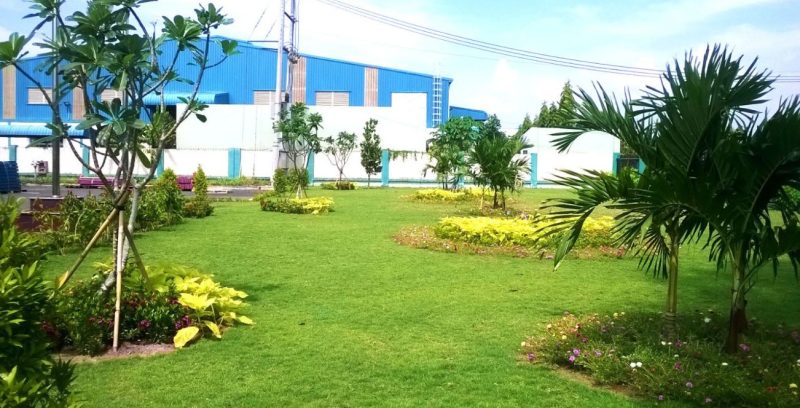 Cây trồng tạo bóng mát khuôn viên