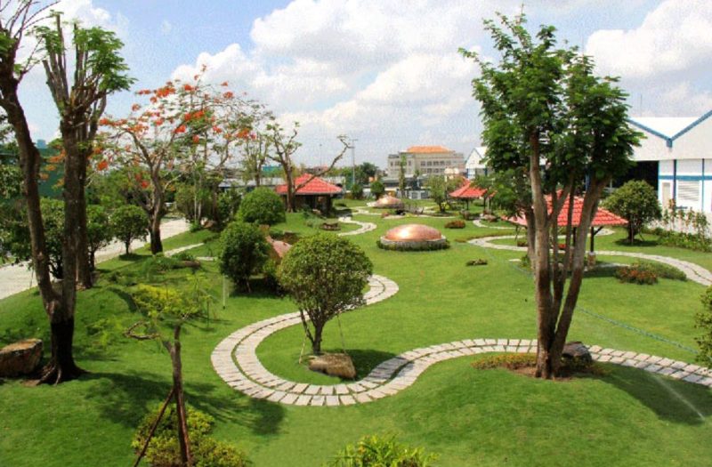 Cây xanh Ngọc Lan