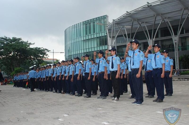 Đội ngũ nhân sự dồi dào và được đào tạo bài bản