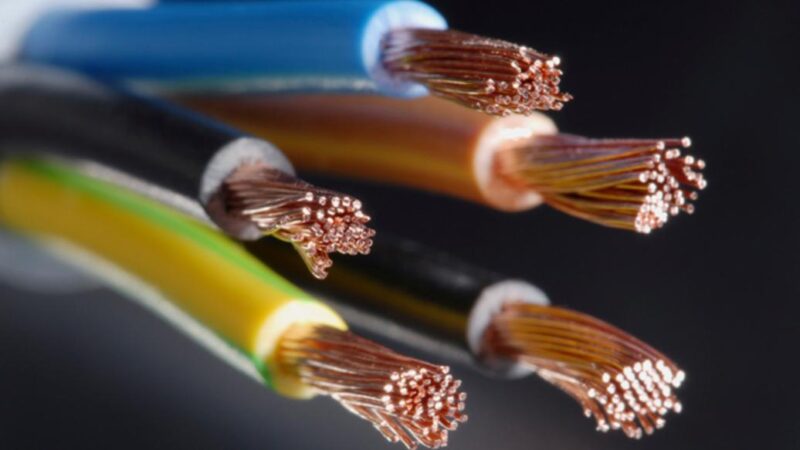 Dây điện Lion có đa dạng chủng loại, dễ lựa chọn