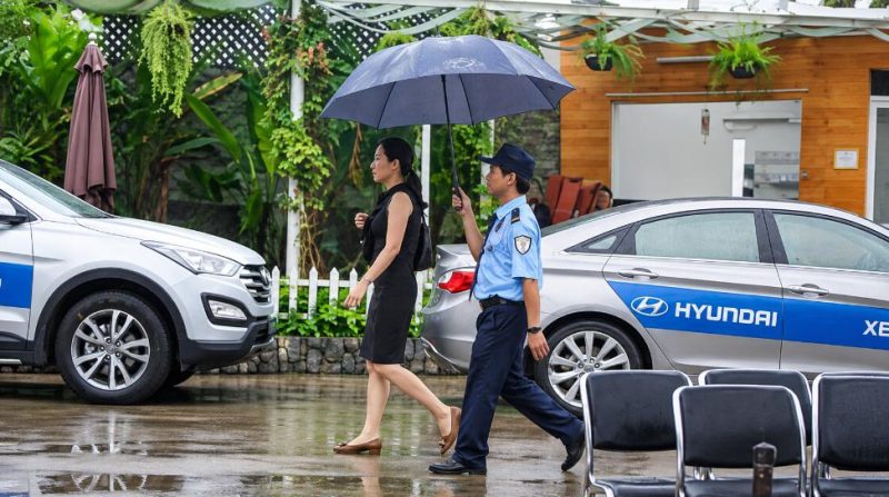 Dịch vụ bảo vệ yếu nhân, VIP